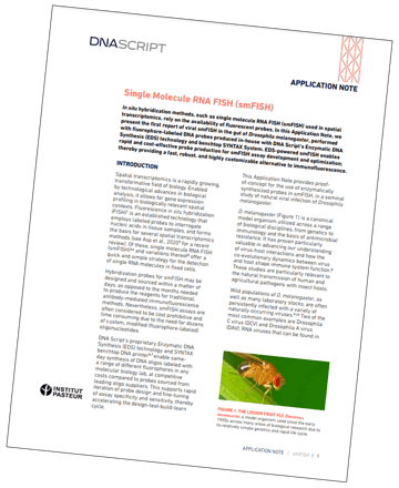 smFISH appnote tilt